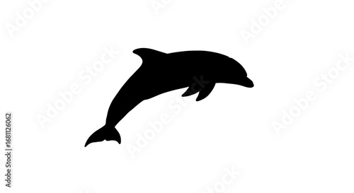 Silhouette of a playful dolphin leaping out of the water in a dynamic pose