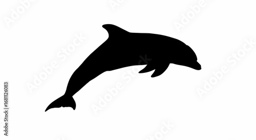 Black silhouette of a playful dolphin leaping gracefully out of the water against a white background