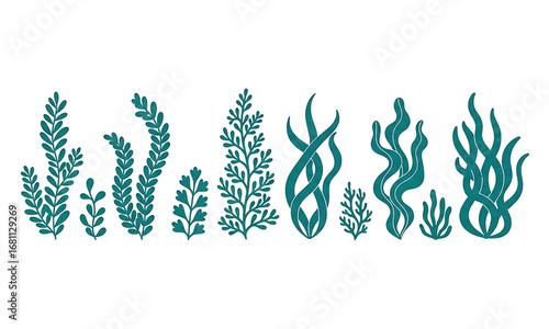 Underwater Garden png, Explore a collection of vibrant, stylized seaweed and aquatic plants that bring the depth of the ocean to life in a captivating illustration.
