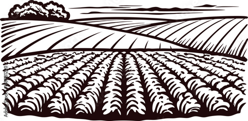 Hand drawn rural landscape with plowed field and distant trees, vintage etched farmland illustration