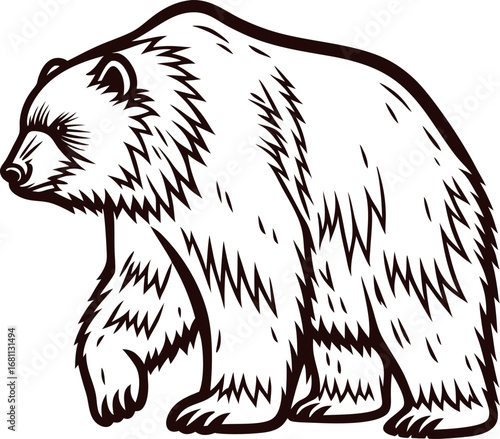 Hand drawn grizzly bear walking side view engraved vintage wild animal illustration
