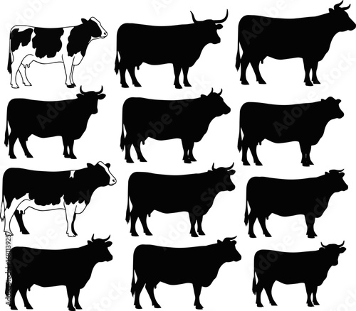 Isolated a kinds of different cow Vector art silhouette with white background..