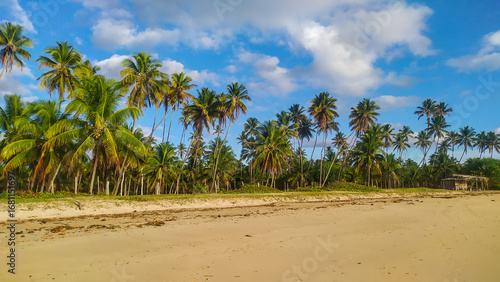 The wild and untouched beauty of Bainema Beach  where blue waters kiss the shore of Boipeba Island  Bahia  Brazil.