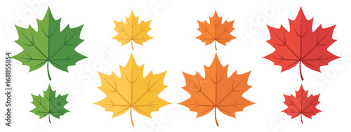 Colorful maple leaf collection icon set. Autumn design elements in red, orange, yellow, and green colors. Vector graphic illustration