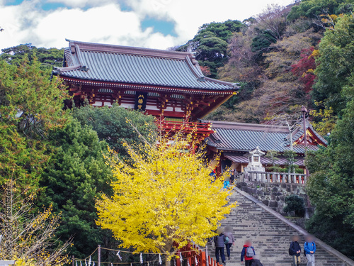 【神奈川県】秋の鎌倉市・鶴岡八幡宮