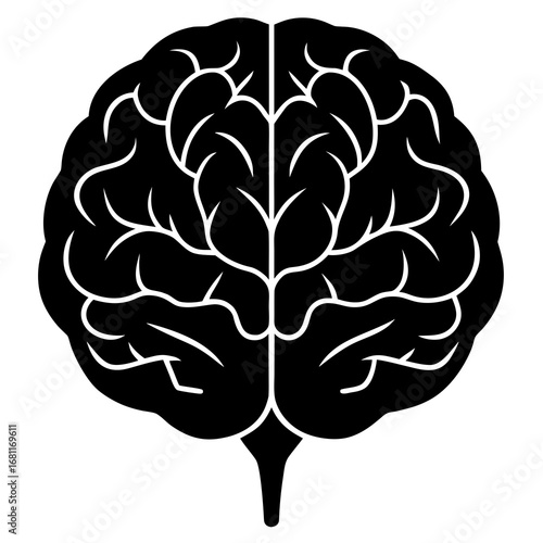 Amygdala Human Brain Anatomy Vector Illustration 