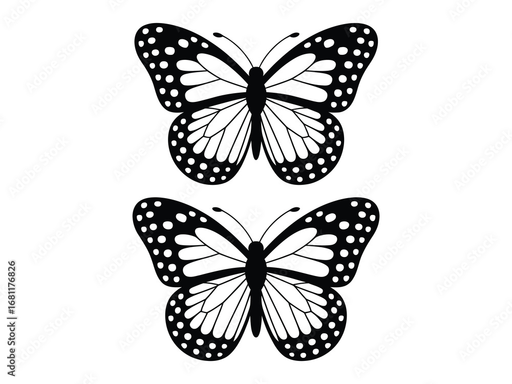Fototapeta premium A simple black and white vector illustration featuring two monarch butterflies with patterned wings, isolated on a clean background