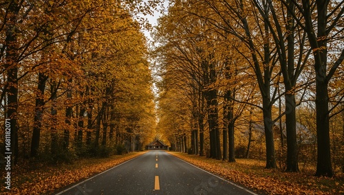 A picturesque view of a long, straight road leading on a journey through a vibrant golden autumn forest