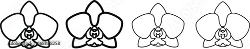Orchid flower line art drawing vector illustration design