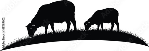 Sheep grazing silhouette vector farm animals livestock design