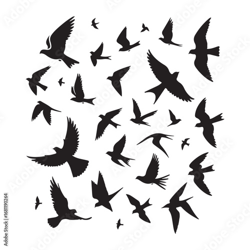 Flock of birds in flight silhouette