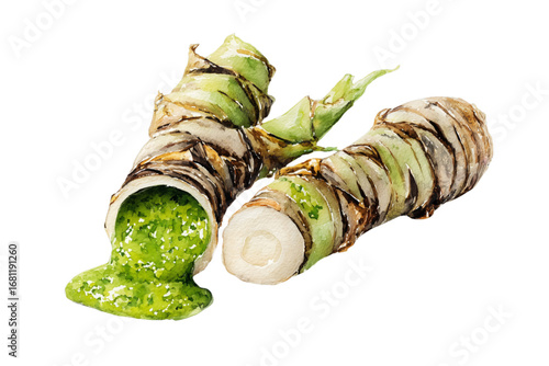 watercolor asparagus wrapped in bacon wrapped in bacon