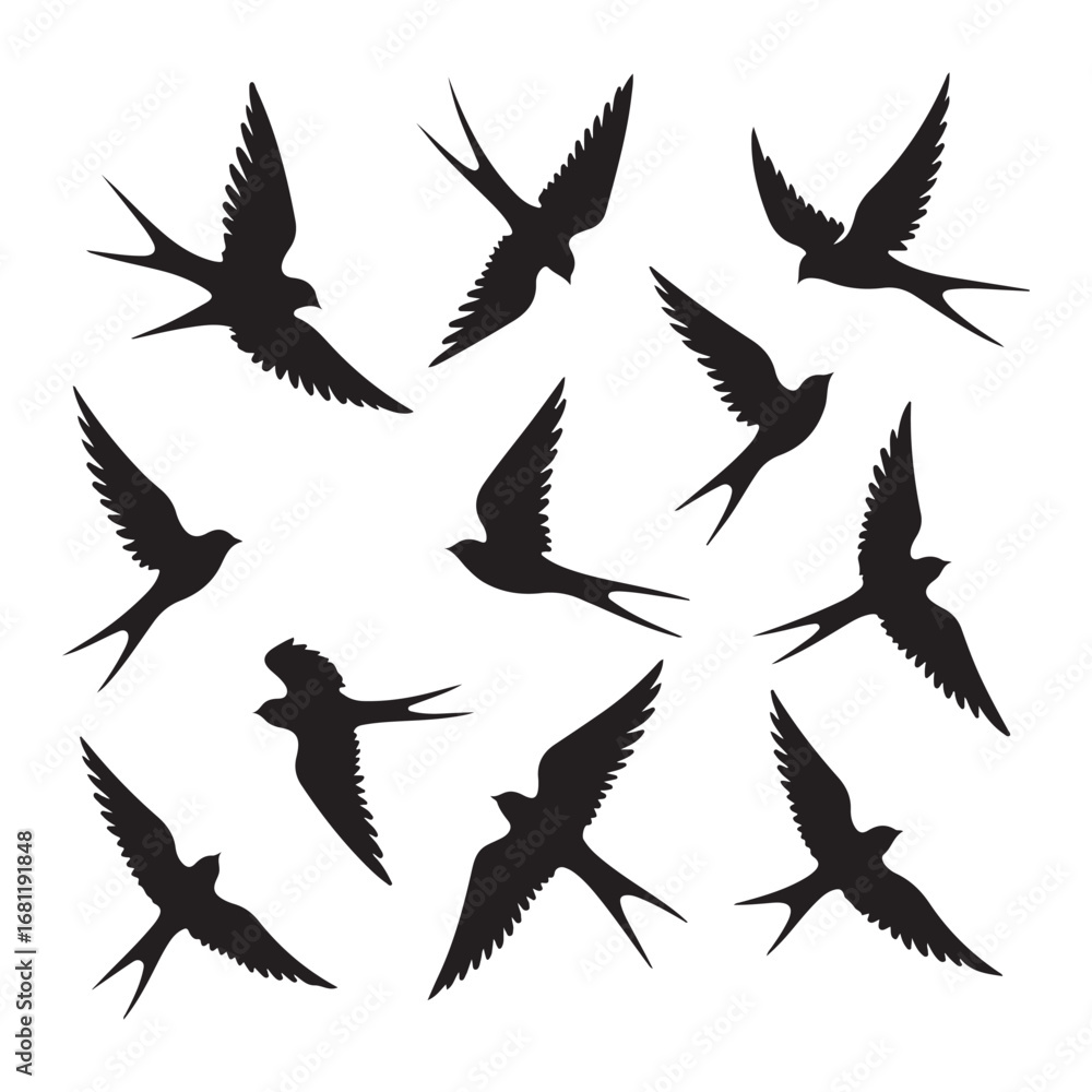 Fototapeta premium Flock of birds in flight silhouette