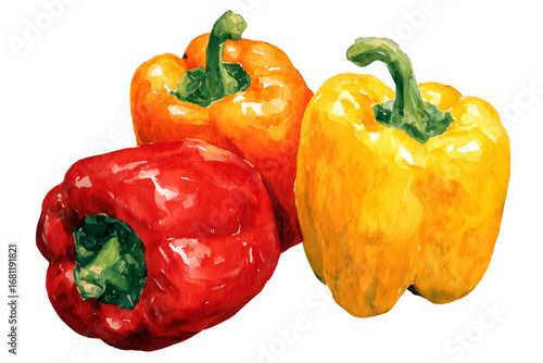 watercolor red and yellow peppers isolated on white
