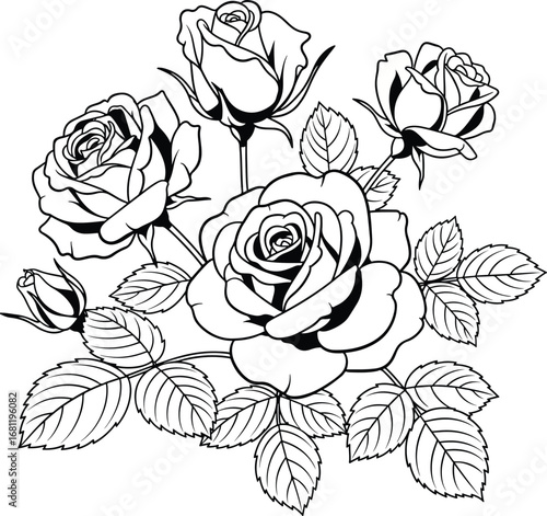Rose: A beautiful line art illustration of a bouquet of blooming roses and buds with leaves, in a classic botanical style.