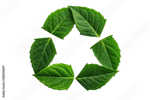 Green leaf recycling symbol isolated on transparent background