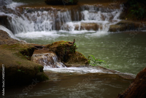 Obraz na plátně In the foreground, a small, vibrant cascade flows over a mossy outcrop, where a lone plant clings to the rock, highlighting the resilience of nature