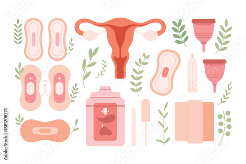 Feminine hygiene products and uterus illustration with floral accents