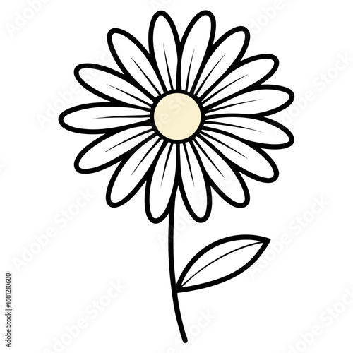 white daisy flower