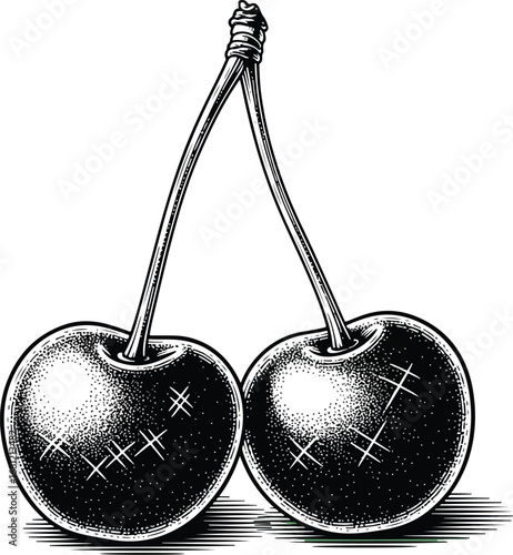 Cherries: A detailed line art illustration of two cherries on a stem, with subtle highlights and texture, in a classic, hand-drawn style.