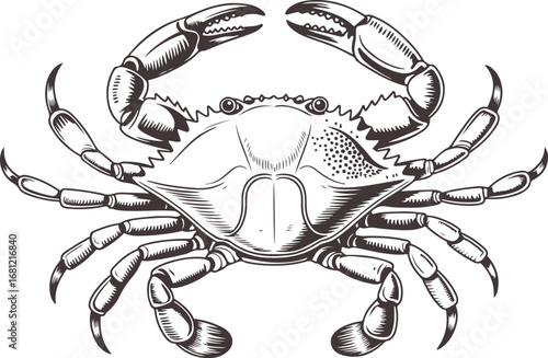 Detailed Crab Illustration with Intricate Line Work for Seafood Themes