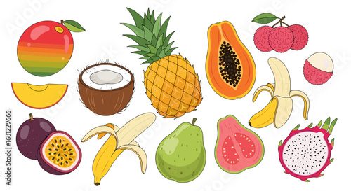 Illustration of a colorful assortment of tropical fruits arranged together nicely
