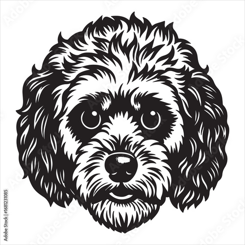 A Happy and Healthy Bichon Frise, a Non-Shedding Companion Dog Known for its Hypoallergenic Curly Coat and Affectionate Personality