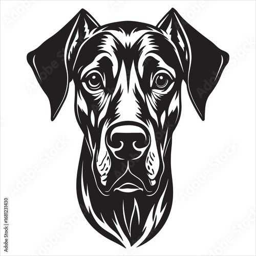 A Gentle Portrait of a Great Dane, a Lovable Giant with a Patient and Affectionate Personality, Known as the Ultimate Family Companion