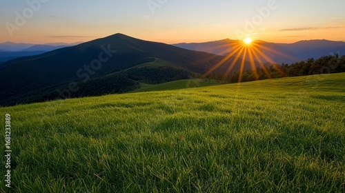 Fototapeta Naklejka Na Ścianę i Meble -  A stunning summer sunrise over the mountains, showcasing a vibrant alpine meadow under a clear blue sky in Bieszczady, Poland.