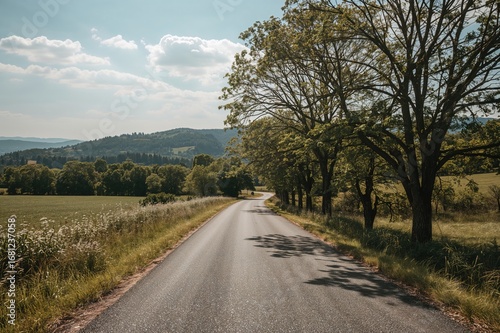 Country road in summer surrounded by trees. Vintage rural uphill environment. Nature asphalt pathway.