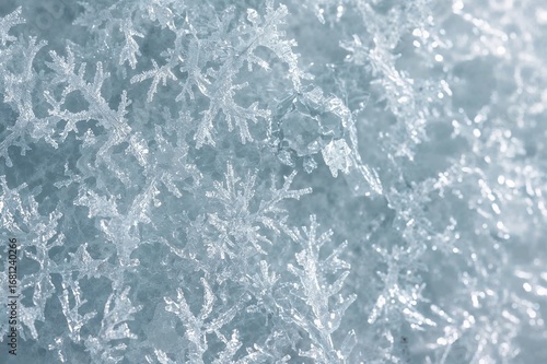 Wallpaper Mural Close-up of icy frost patterns on glass surface, abstract winter texture with light blue and white hues Torontodigital.ca