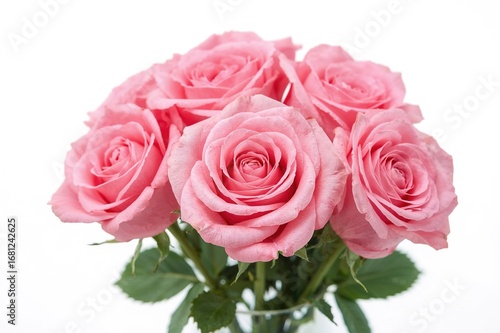 Delicate pink rose petals softly blurred on a light backdrop
