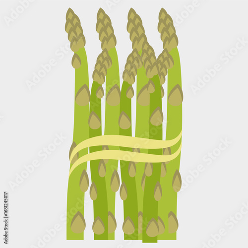 Illustration of a bunch of green asparagus. For use in materials about healthy eating.