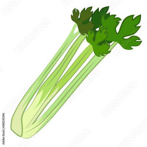 Illustration of celery stalks. For use in materials about healthy eating.