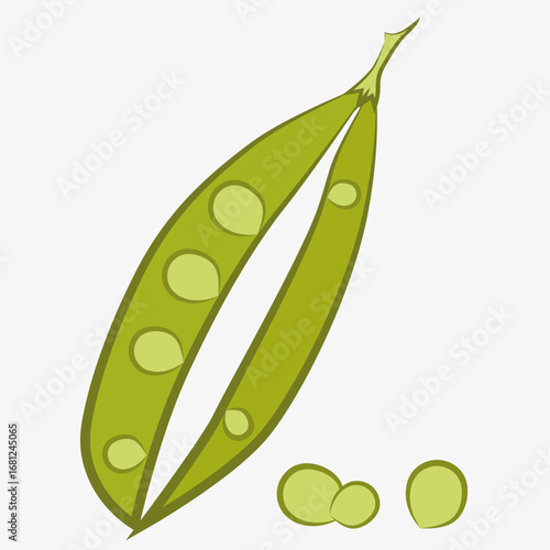 Illustration of green peas. Image of green peas in a pod with seeds.