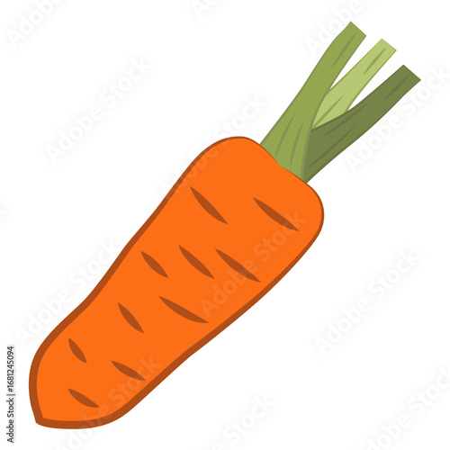 Illustration of carrots. Carrots are a popular root vegetable that is bright orange in color and contains vitamins.