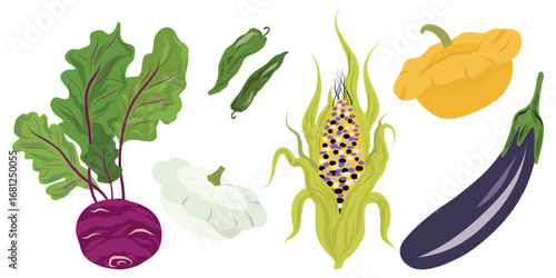 Assorted Vegetable Set, Garden Produce Mix, Farm Harvest Collection