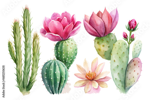 Watercolor Cactus and Desert Plants with Pink Flowers Isolated on White