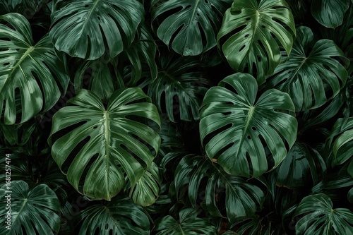 Wallpaper Mural Luxurious Tropical Vibes Featuring a Rich Display of Verdant Foliage for a Serene Indoor Retreat Torontodigital.ca