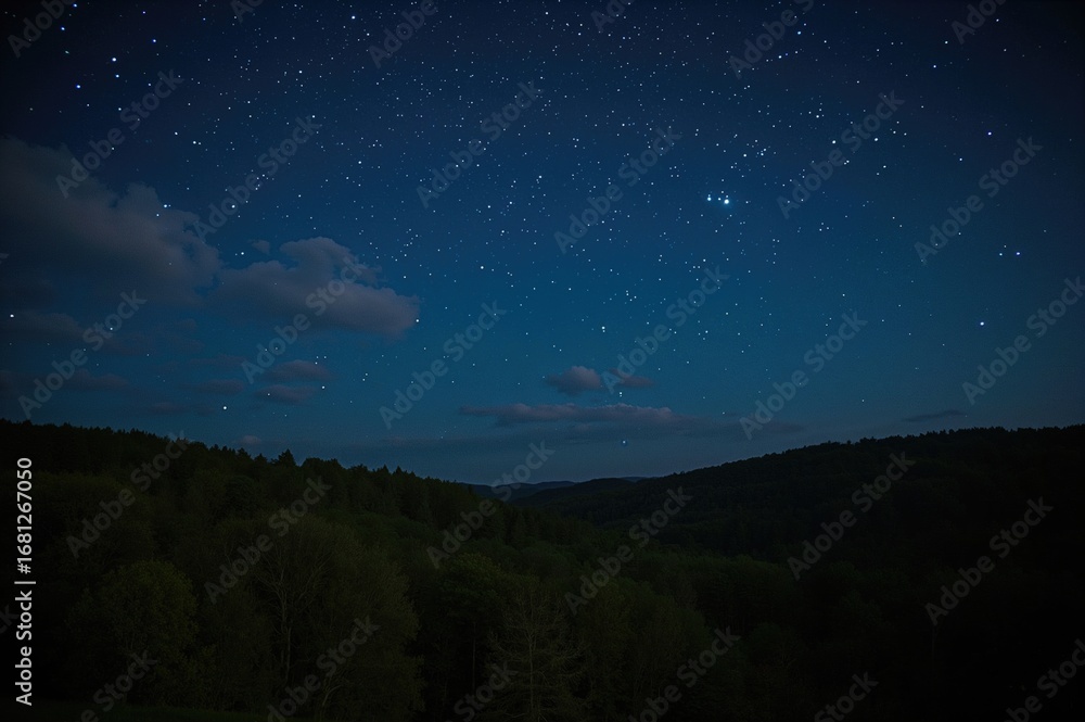 Fototapeta premium Peaceful summer evening outside with a beautiful woodland view