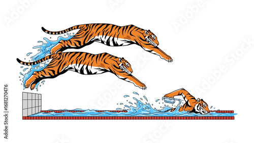 Tigers Diving into Pool: Three dynamic tigers diving and swimming in pool, embodying agility and motion, each splash signifies the thrill of the dive.