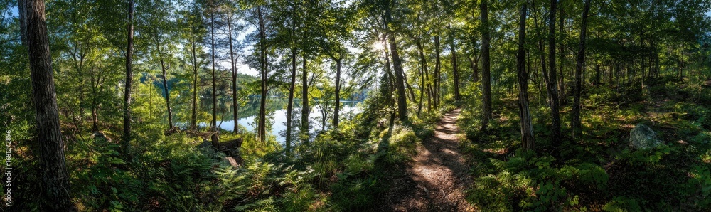Fototapeta premium Sunlight filtering through a dense forest, revealing a pathway and a lake vista