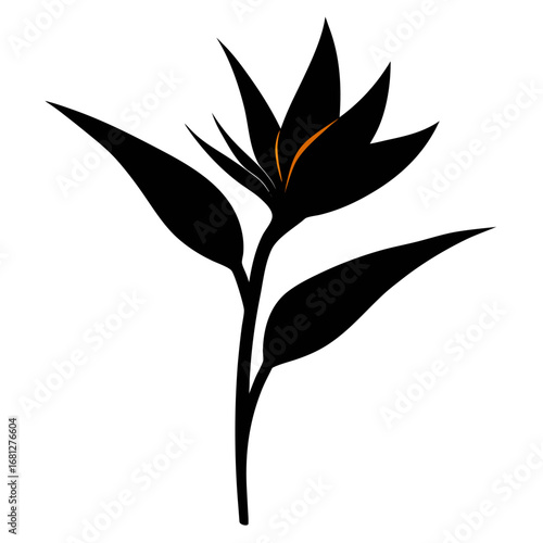 strelitzia alba flower silhouette vector on-white