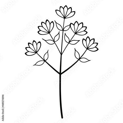 verbena bonariensis line art vector on white background