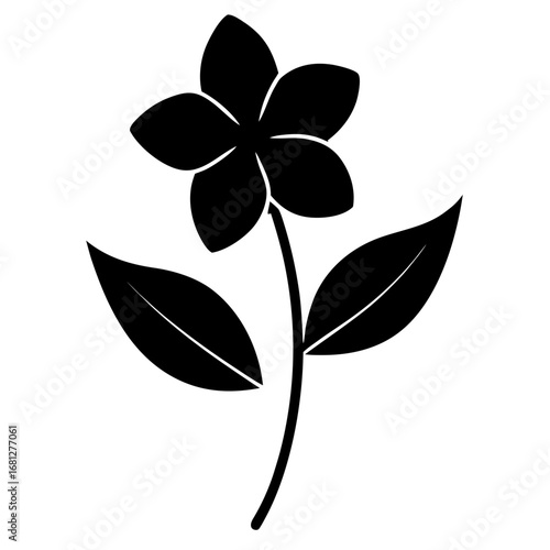 vinca minor flower silhouette vector on-white
