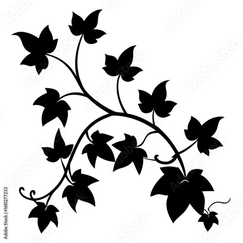 virginia creeper silhouette flower vector  on white