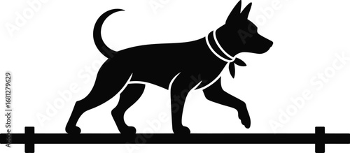 Athletic dog performing agility on a balance beam silhouette