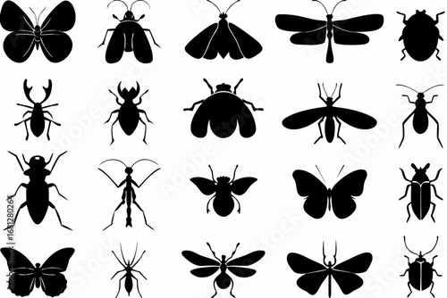 Silhouette illustration of various insects including butterflies beetles and dragonflies created with generated ai