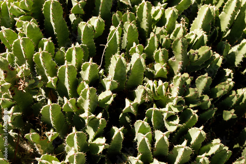High-resolution image of a ...