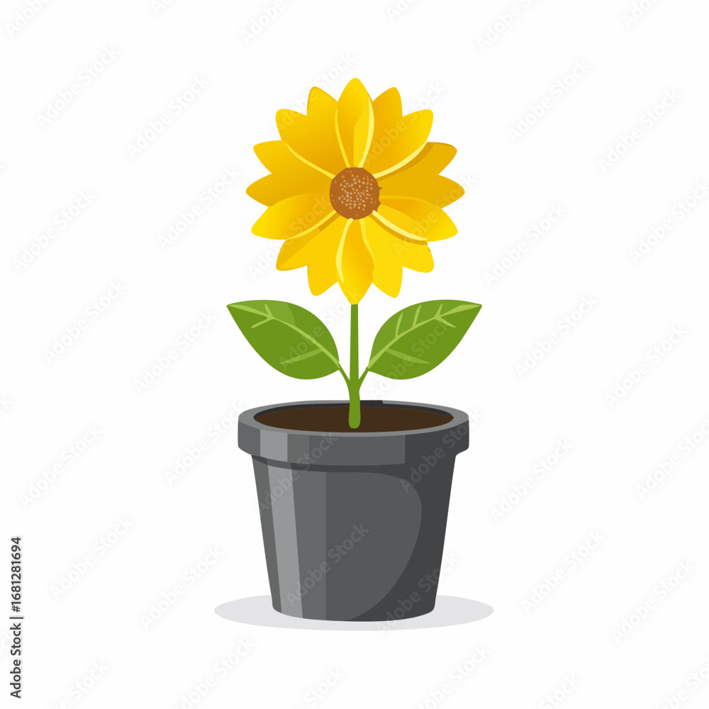 Obraz premium Gelbe Blume